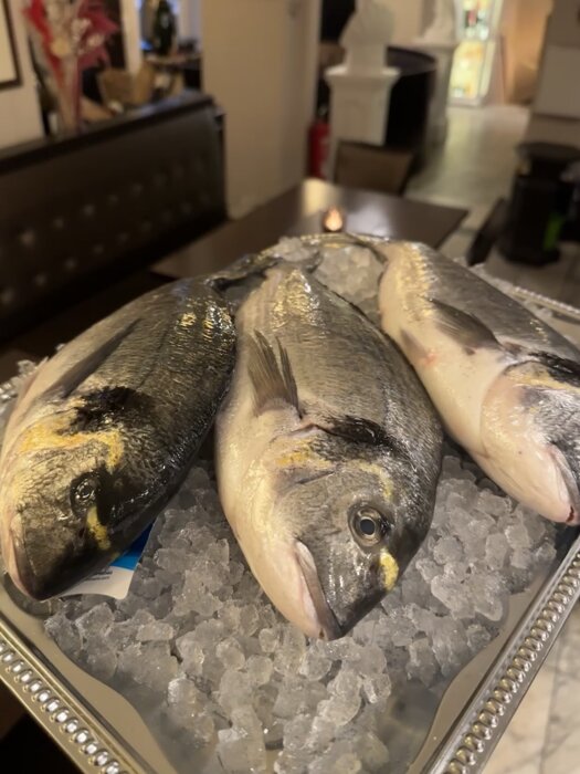 https://www.poseidon-ingolstadt.de  Fisch ist ein wertvolles und notwendiges Nahrungsmittel für Jung und Alt und eine hervorragende Quelle für Proteine ​​von hoher biologischer Wertigkeit, Vitamine und Mineralstoffe. Tatsächlich „erfordert“ die Mittelmeer