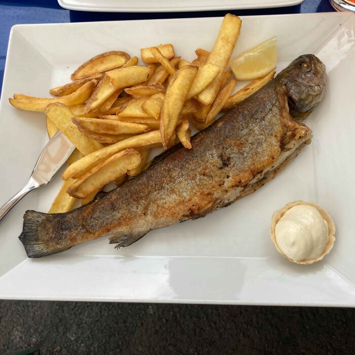 gebratene Kräuter-Forelle mit hauseigener Fischmaster Bio-Gewürzmischung