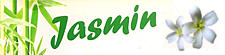 Profilbild von ASIA Restaurant JASMIN 