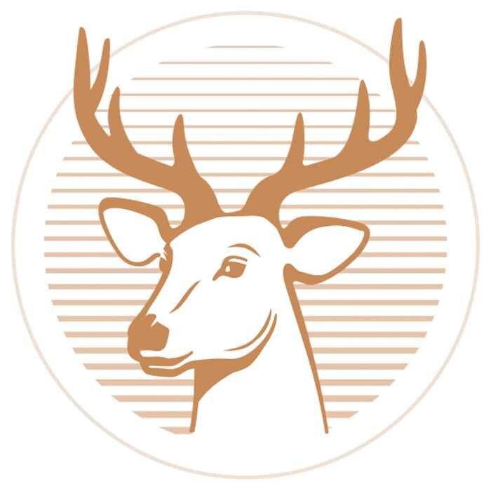 Profilbild von Das Wirtshaus Obernburg