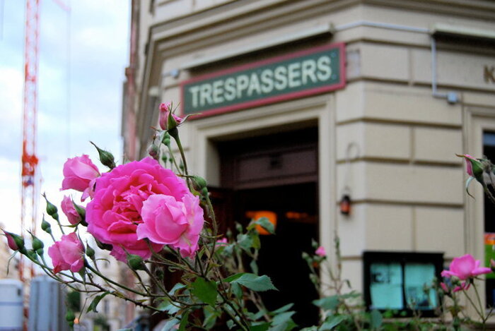 Profilbild von Trespassers - Café Cocktail Wein-Bar