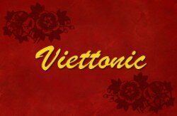 Profilbild von Viettonic