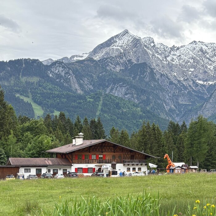 Profilbild von Elch’s Almhütte – Windbeutelalm