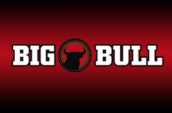 Profilbild von Big Bull