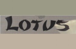 Profilbild von Lotus Asia Bistro