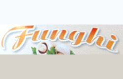 Profilbild von Funghi