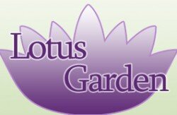 Profilbild von Lotus Garden