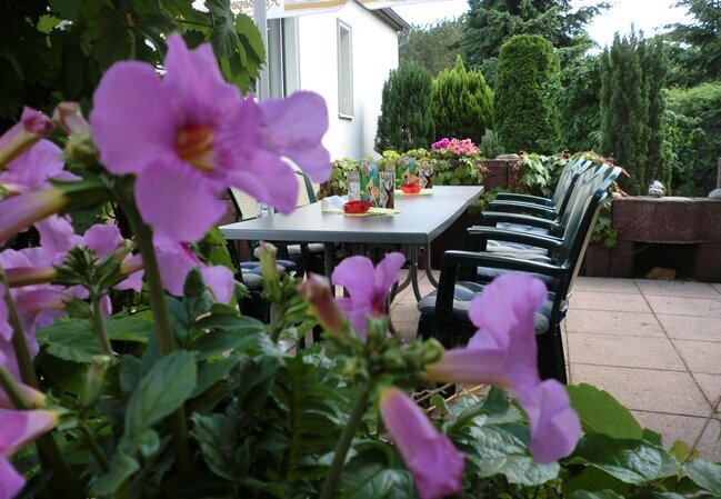 Schöne Terrasse