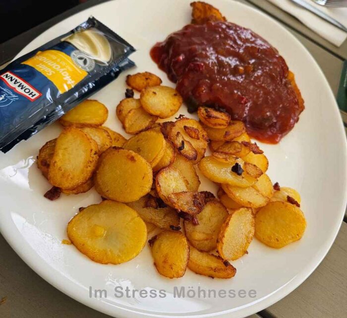 Salsa Schnitzel 