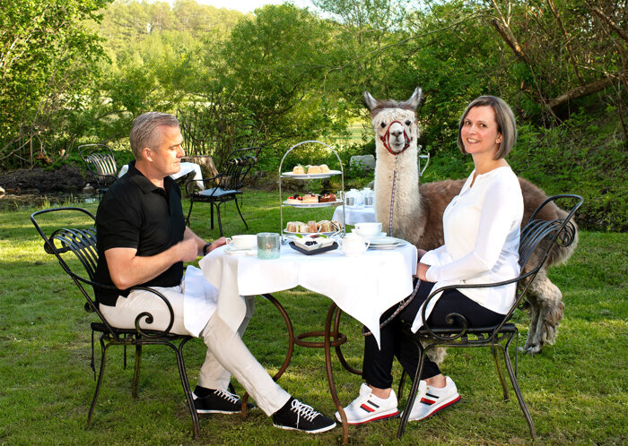 Restaurant Martinus - Tea Time / saisonal auch mit Alpakas