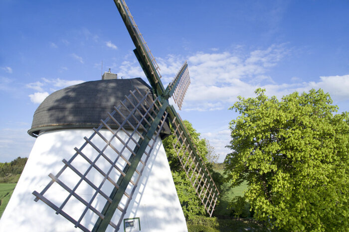 Profilbild von Die Windmühle Fissenknick
