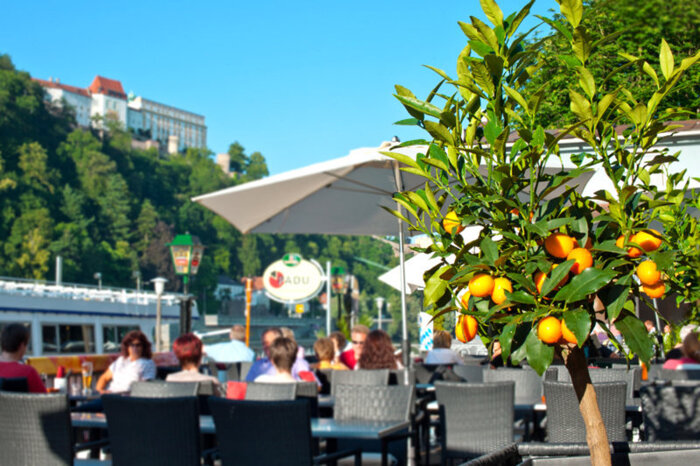 Die Terrasse