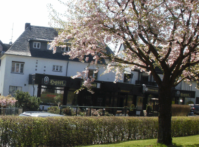 Landhotel Westerwald in Ehlscheid Eingangsbereich zum Restaurant, Café oder zum Feiern
