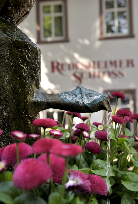 Profilbild von Breuer`s Rüdesheimer Schloss Wein Gasthaus