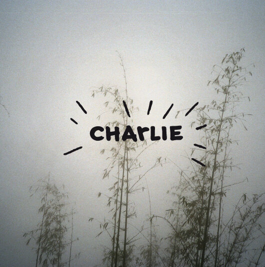 Profilbild von Charlie