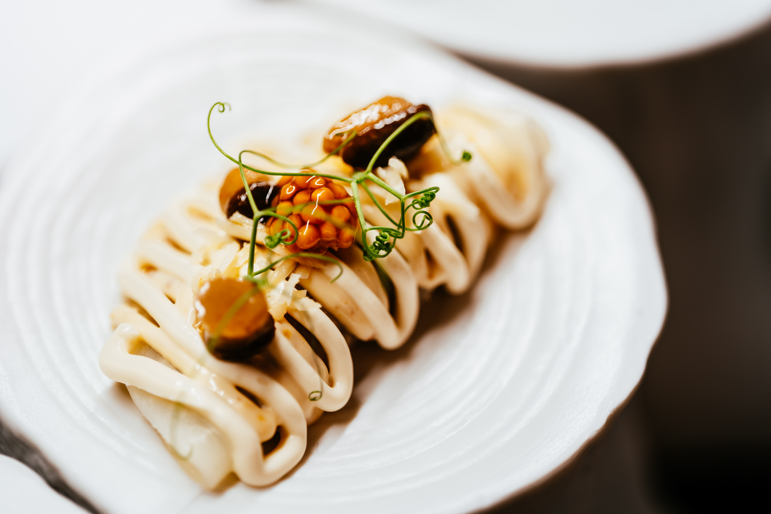 Cannelloni von Sellerie und Flusskrebsen · 9 Gänge Fine Dining Menü · Winzerhof Stahl Auernhofen