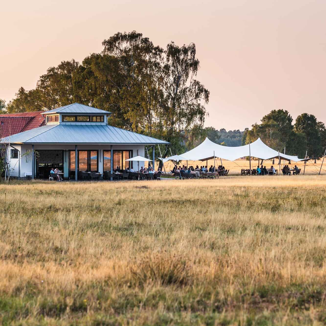 Profilbild von Camp Reinsehlen Hotel